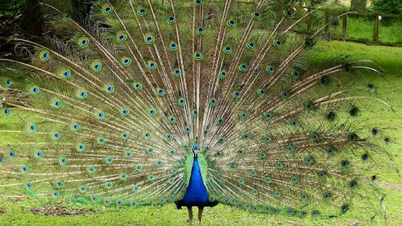 Buxar railway station