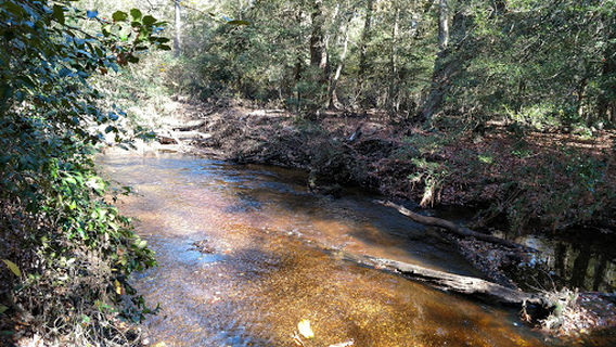 Salisbury Skate Park