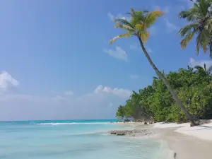 Fulhadhoo Vevu
