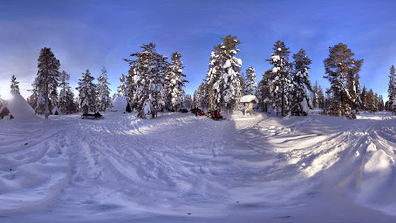 Леви