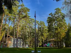 Detskiy Ozdorovitel'no-Obrazovatel'nyy Lager' Mau Dool "Sosnovyy Bor"