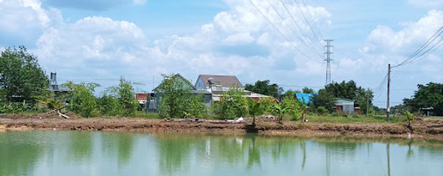 Câu cá giải trí Trần Hạo
