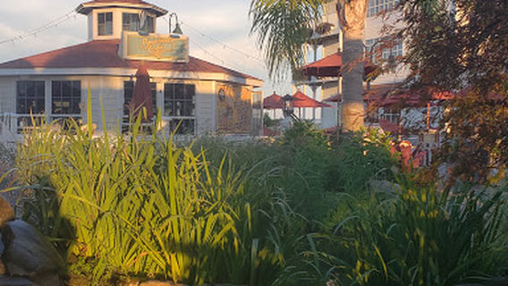 Chesapeake Beach Resort and Spa Bingo Hall