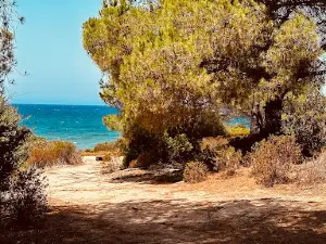 Plage de Sainte Restitude - Arinella di a Santa Ristituta