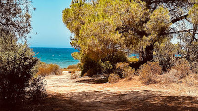 Plage de Sainte Restitude