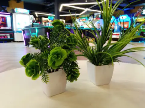 Timezone Plutone Mall Rourkela