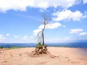 Điểm ngắm cảnh đèo con Ó