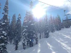 Treehouse Kids' Adventure Center