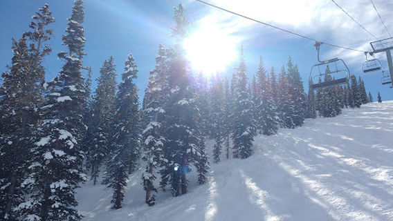 Treehouse Kids' Adventure Center