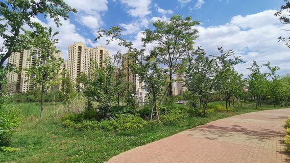宣威市地景公園