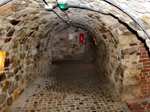Podziemna Trasa Turystyczna w Opatowie