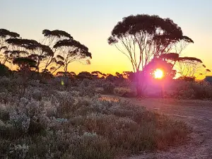 Baxters Rest Area offroad Camp