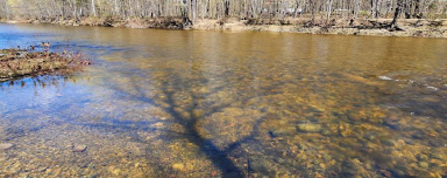 Swift River Walking Trail
