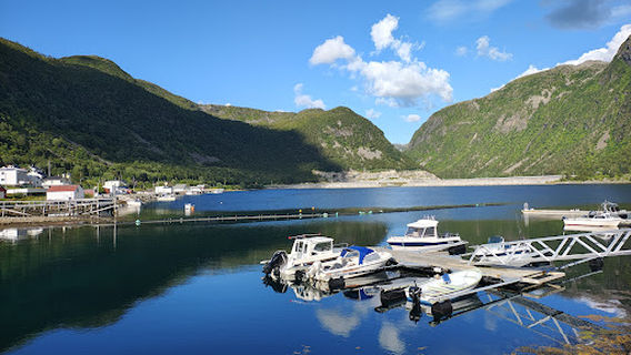 Senja