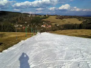 Mendl-ski