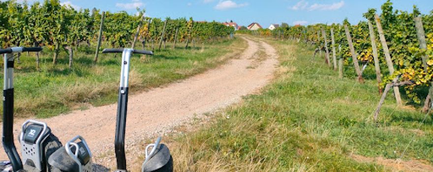 Segway Mobilboard Alsace - Vignobles