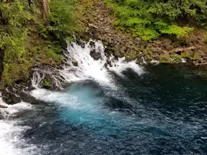 Tamolitch Falls (Blue Pool)