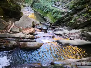 Szepit waterfall on a creek Hylaty