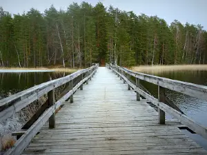 Kissing bridge