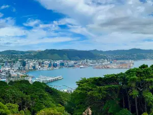ウエリントンの人気春旅におすすめ