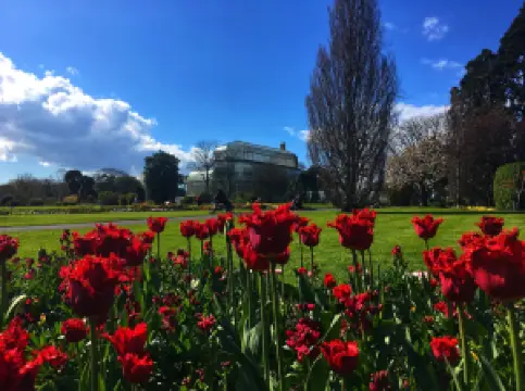 กิจกรรมในฤดูใบไม้ผลิยอดนิยมในดับลิน