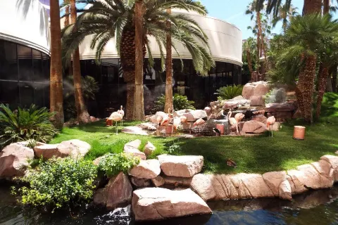 Flamingo Wildlife Habitat