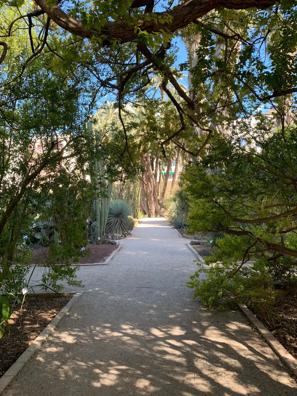 Hotels near Botanical Gardens