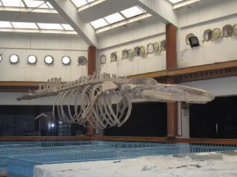 Pakistan Maritime Museum