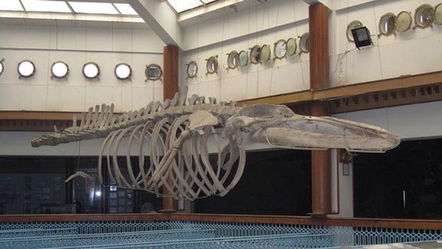 Pakistan Maritime Museum