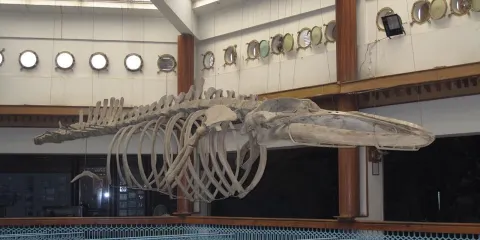 Pakistan Maritime Museum