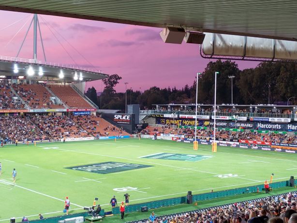 FMG Stadium Waikato