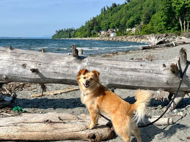Picnic Point Park