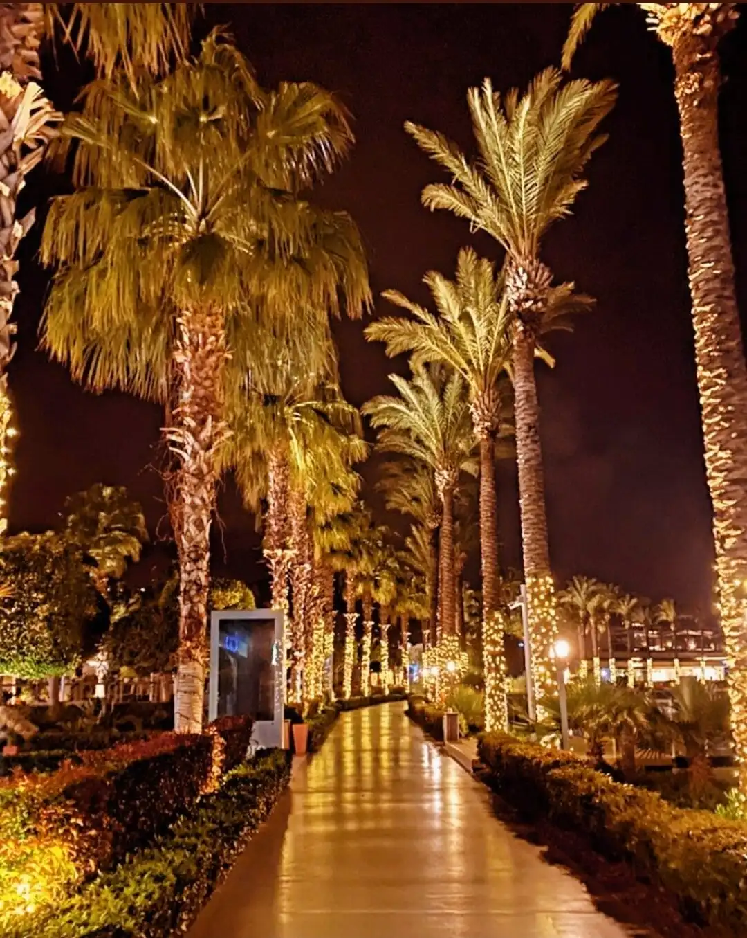 Hotels near Yalıkavak Marina