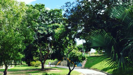 Parque da Criança