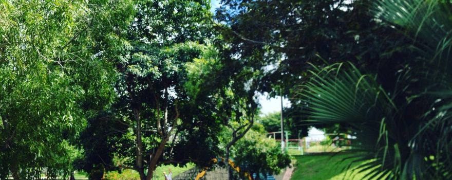 Parque da Crianca