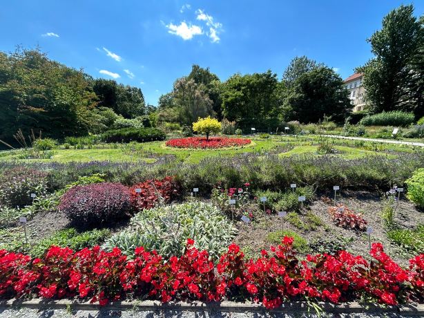 Botanical Garden of the Jagiellonian University