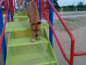 Parque De La Democracia