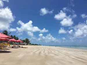 Tamandaré beach
