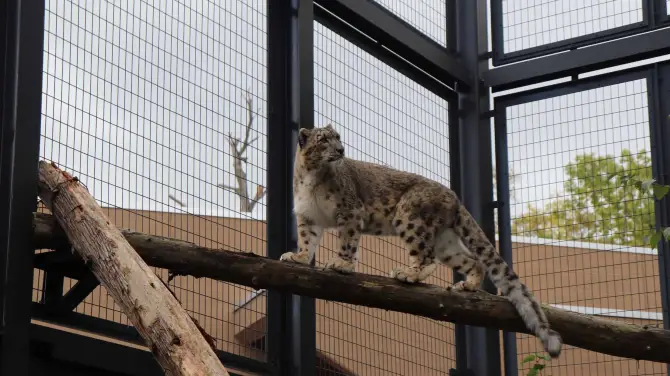 4_札幌市圓山動物園