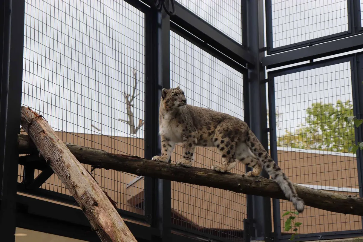 4_札幌市圓山動物園