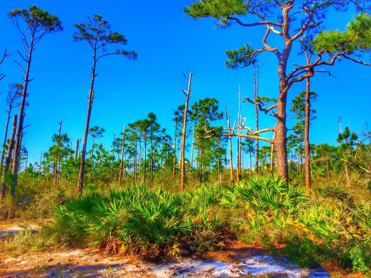 Hotels near Langdon Beach