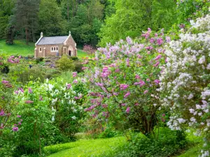Jean-Marie Pelt Botanical Garden
