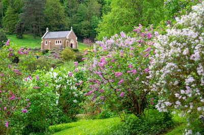 Jean-Marie Pelt Botanical Garden