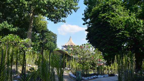 Sarawak Orchid Garden