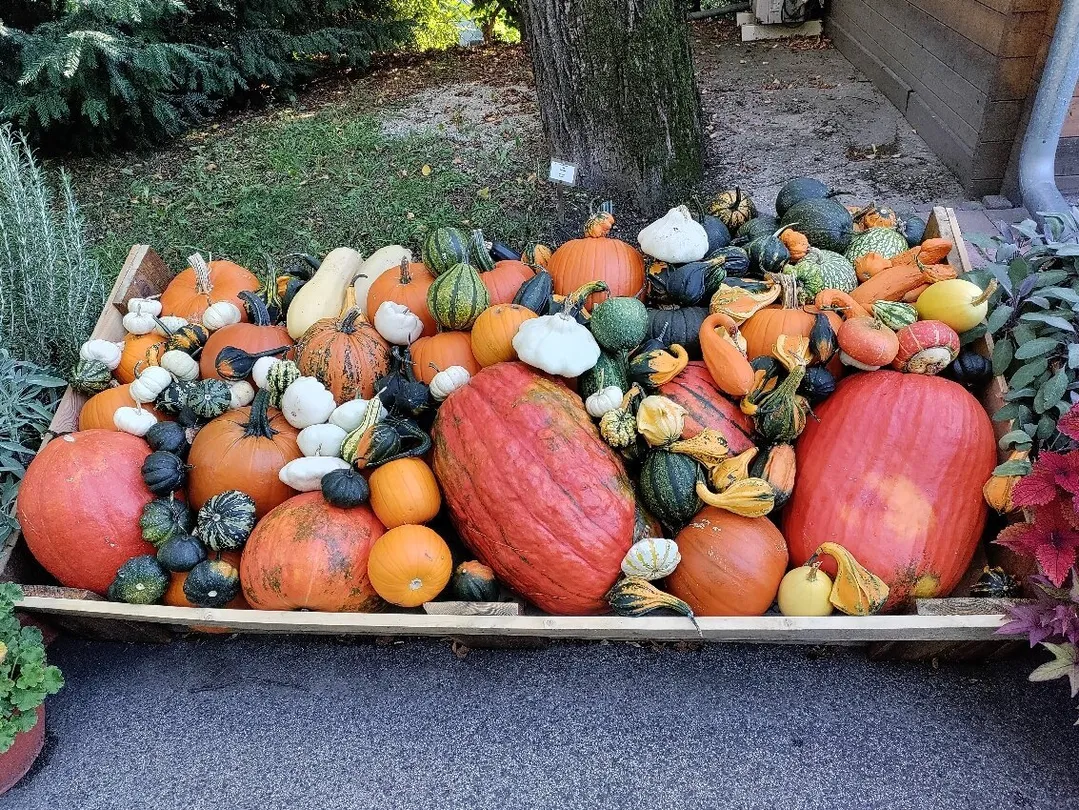 4_Comenius University Botanical Garden