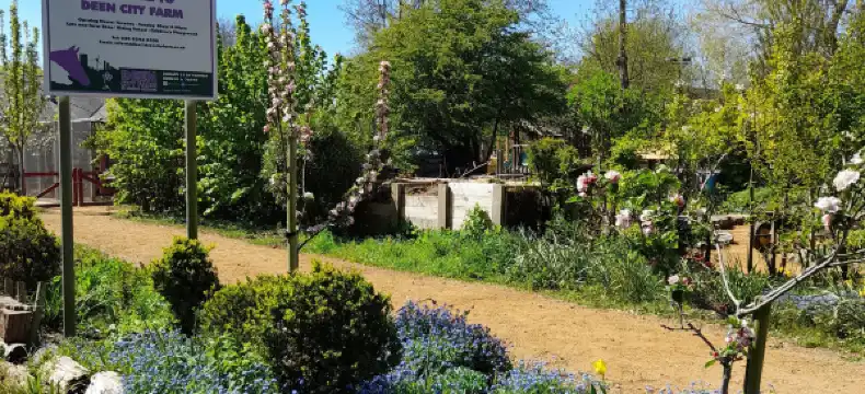 鄰近South Merton的酒店