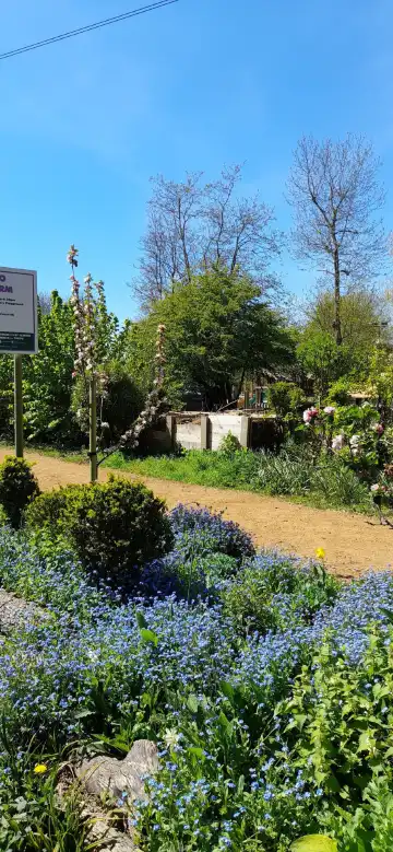 鄰近Christ the King Roman Catholic Church的酒店