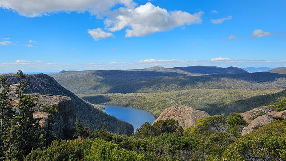 Mount Field