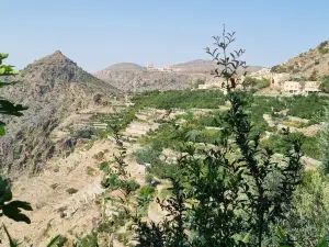 Jebel Akhdar