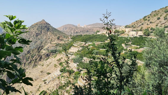 الجبل الأخضر